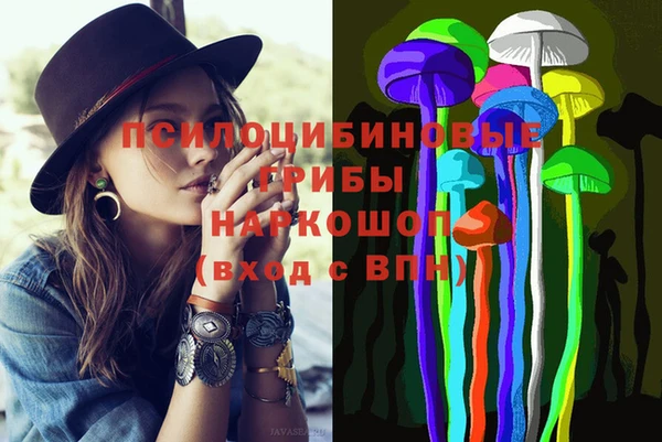 стаф Тобольск