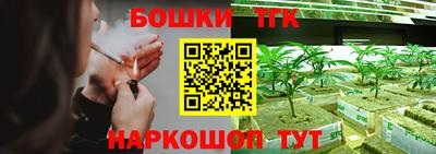 прущие грибы Брянск