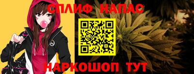 прущие грибы Брянск