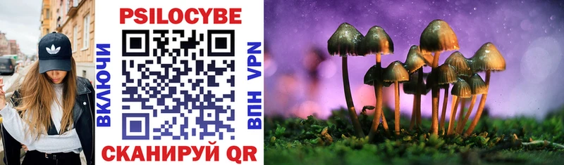 Галлюциногенные грибы Psilocybe  купить наркотик  Рузаевка 